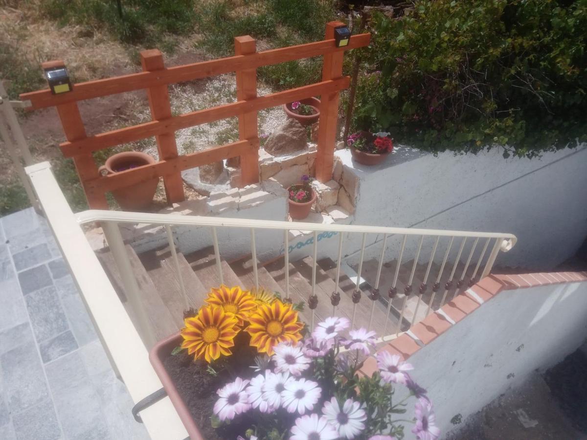 B&B Bella Vista Dorgali Dış mekan fotoğraf