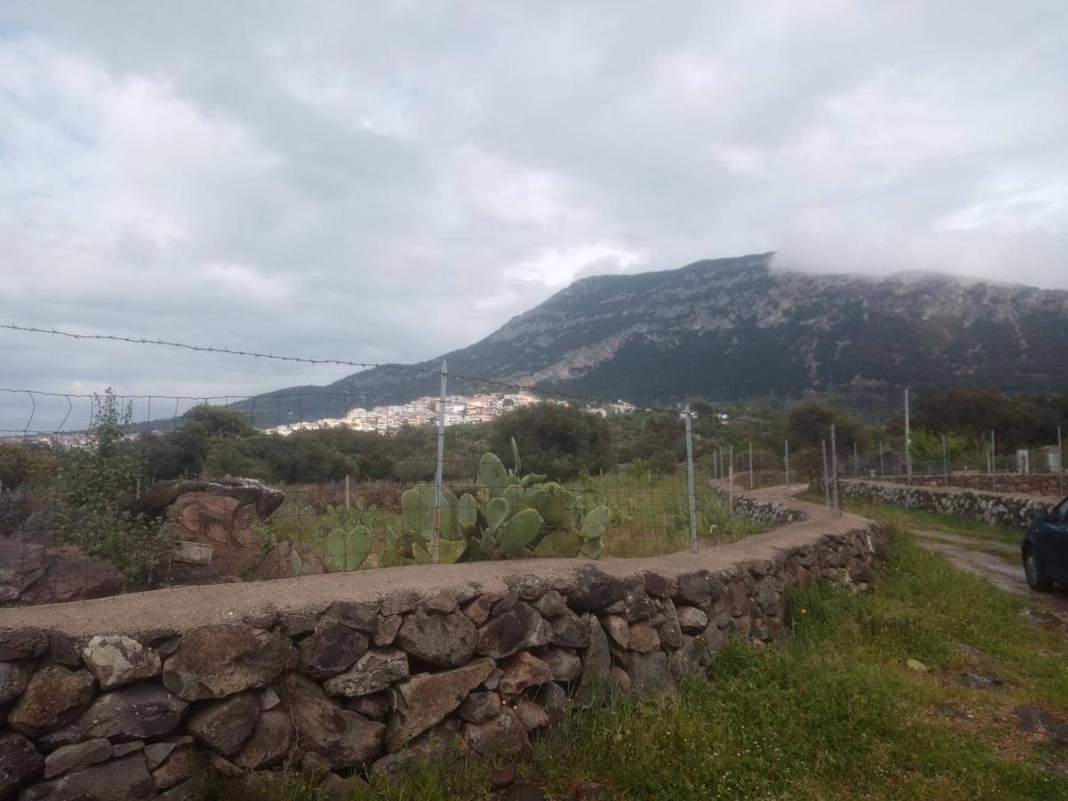 B&B Bella Vista Dorgali Dış mekan fotoğraf