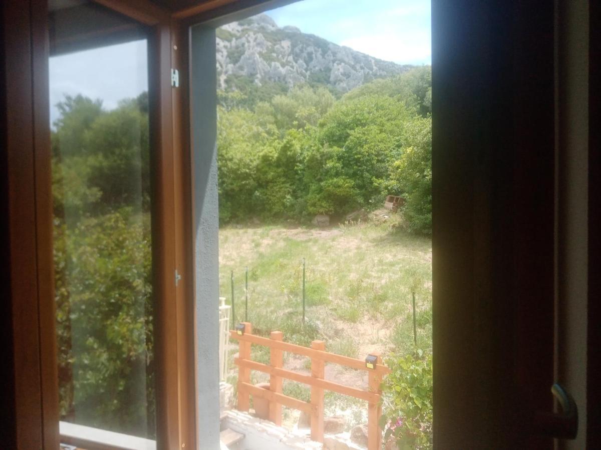 B&B Bella Vista Dorgali Dış mekan fotoğraf