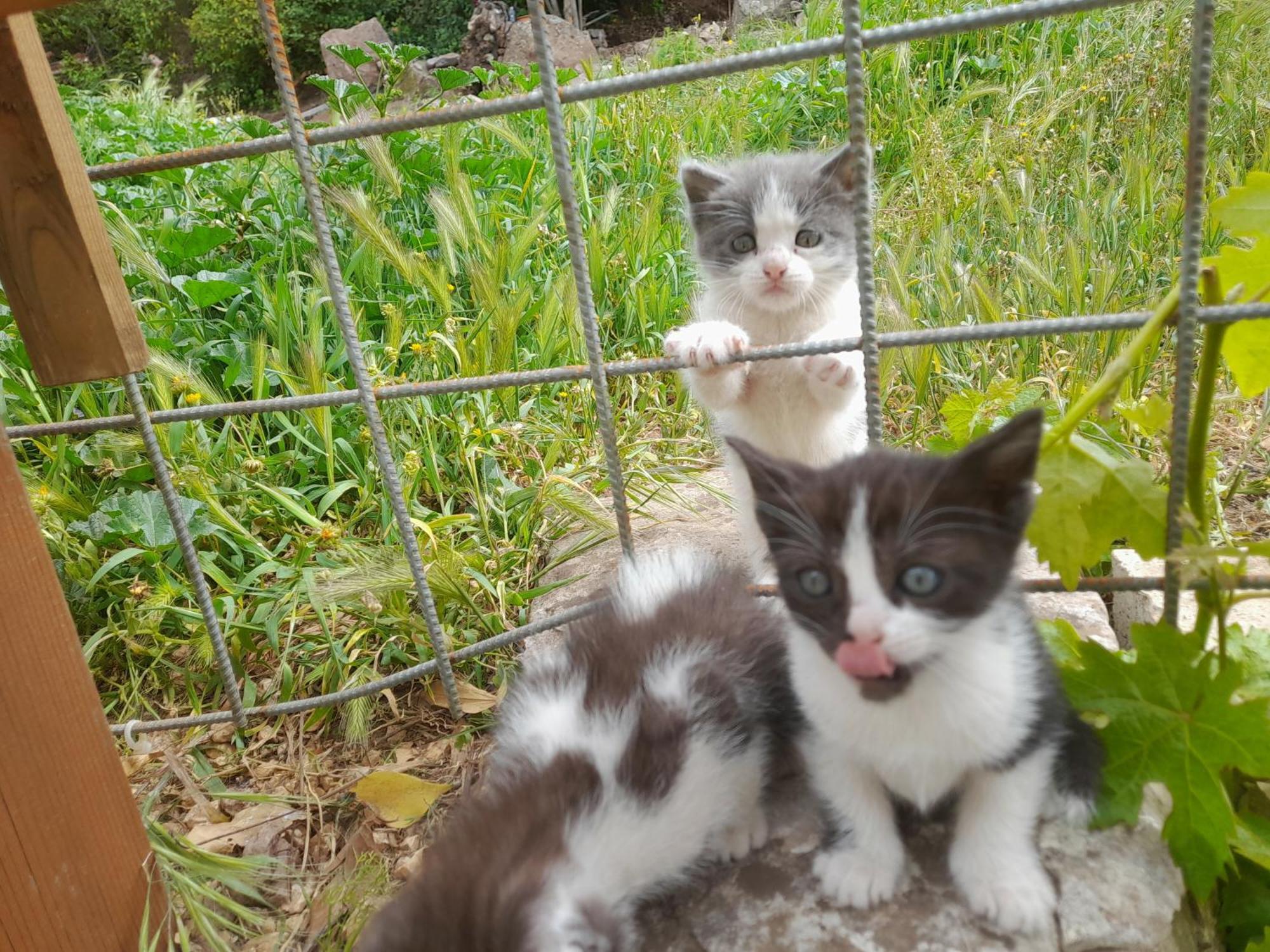B&B Bella Vista Dorgali Dış mekan fotoğraf