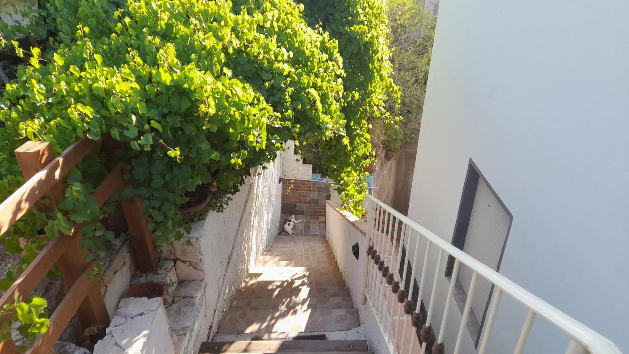 B&B Bella Vista Dorgali Dış mekan fotoğraf