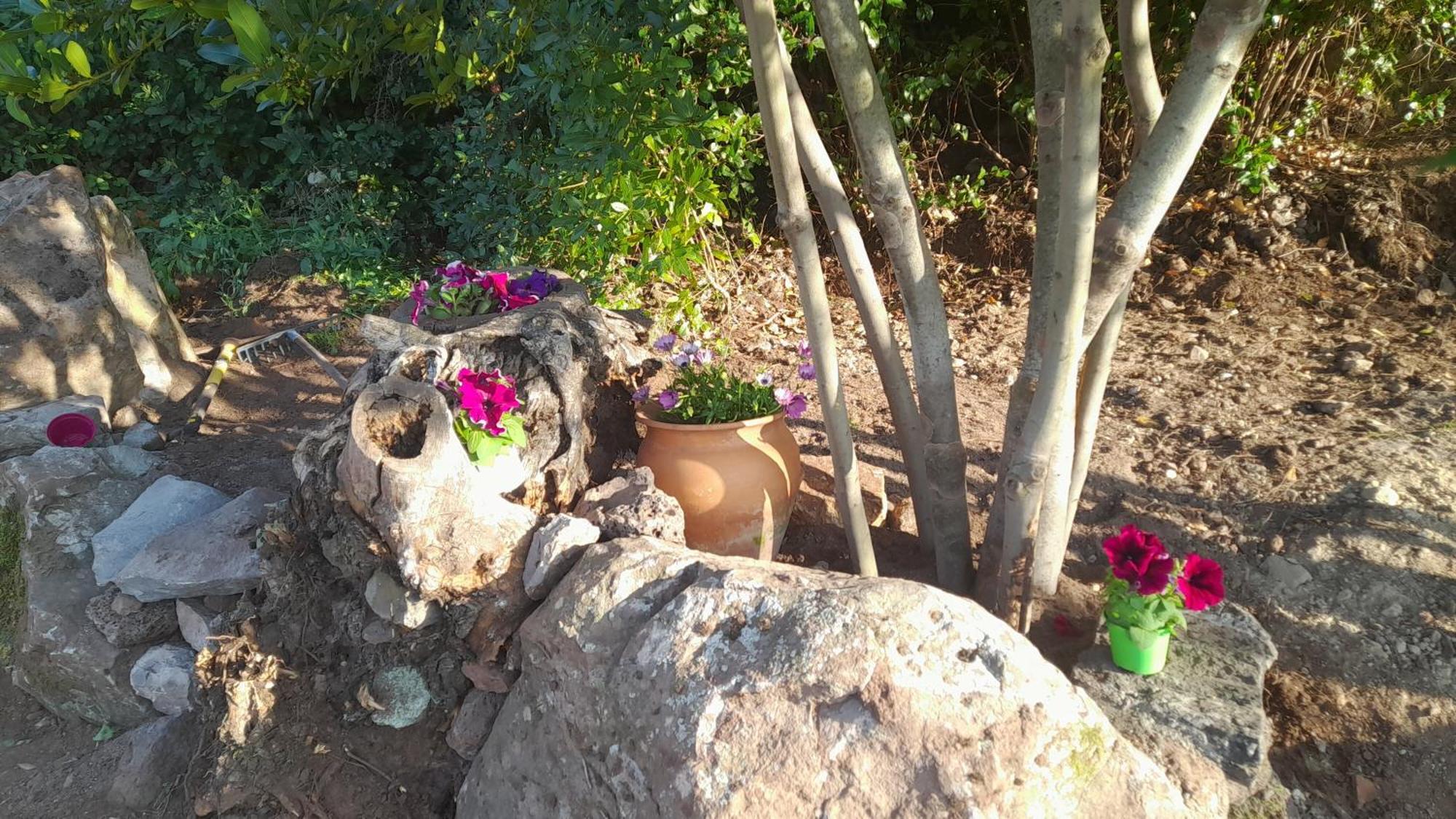 B&B Bella Vista Dorgali Dış mekan fotoğraf