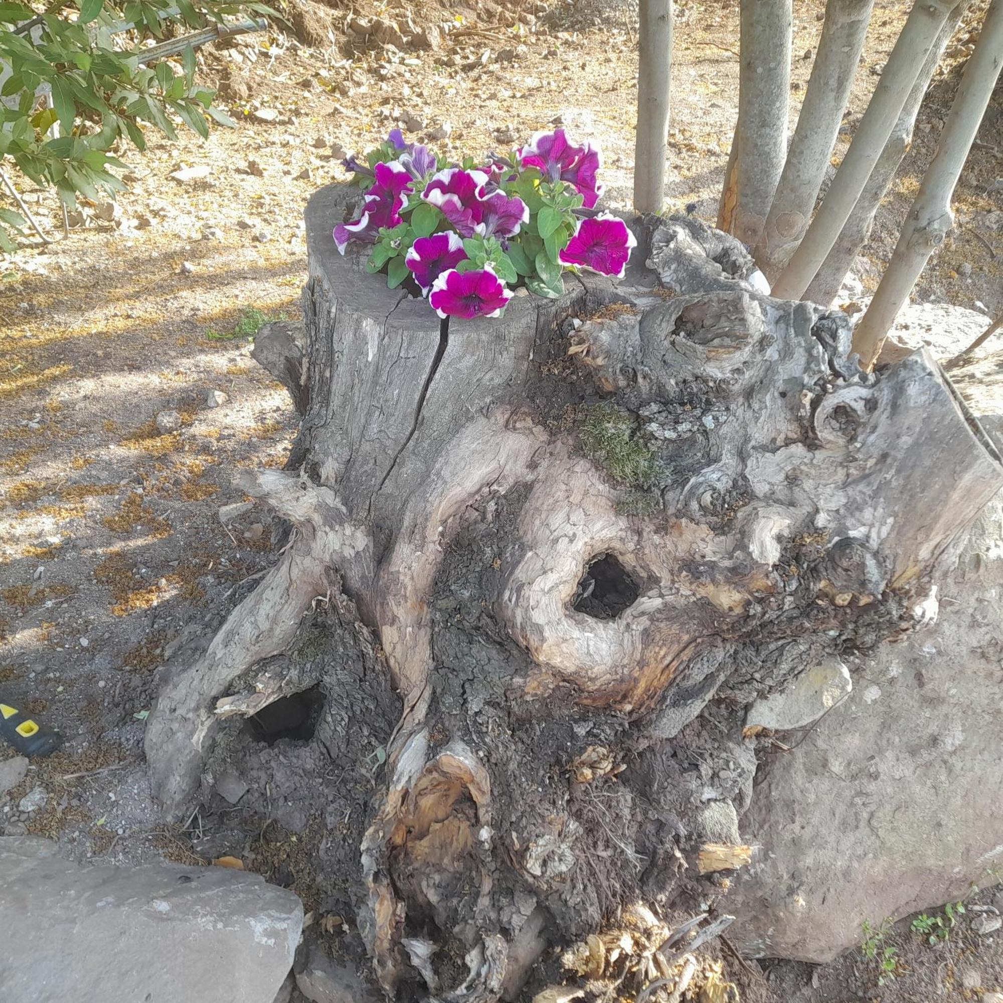 B&B Bella Vista Dorgali Dış mekan fotoğraf