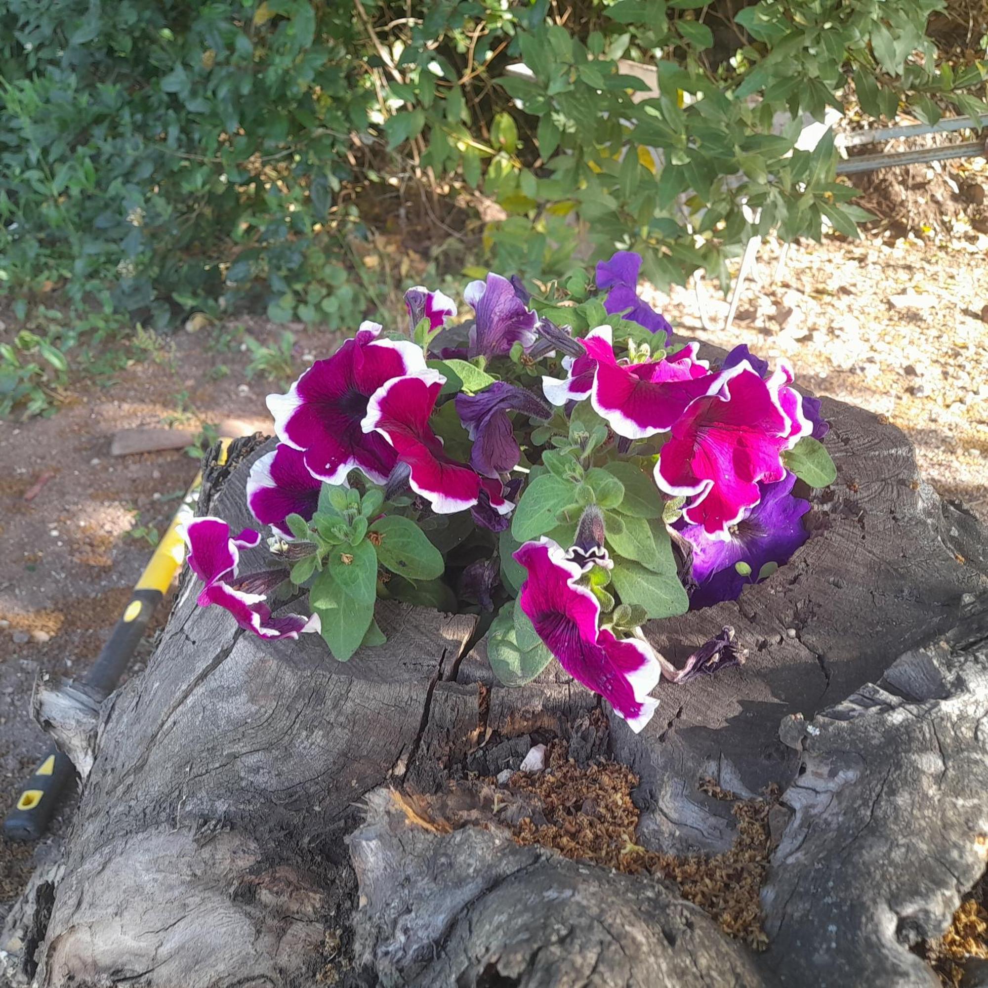 B&B Bella Vista Dorgali Dış mekan fotoğraf