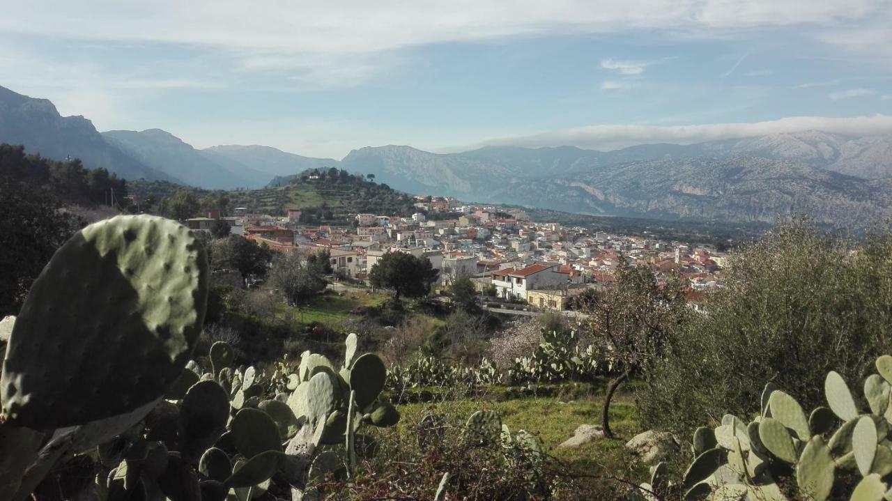 B&B Bella Vista Dorgali Dış mekan fotoğraf