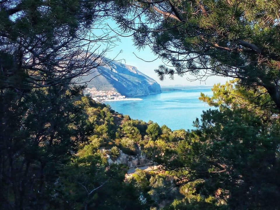 B&B Bella Vista Dorgali Dış mekan fotoğraf
